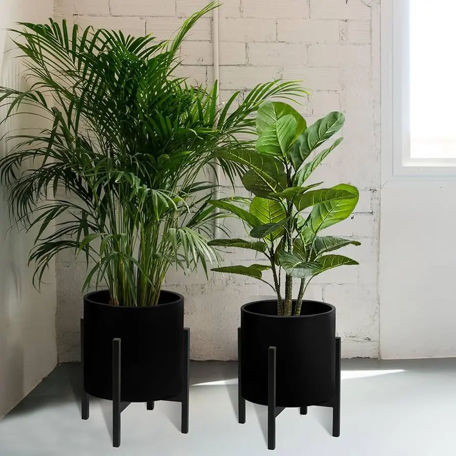 Terrários Elegantes para a Sala