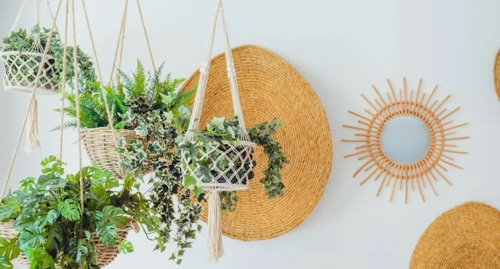 Vasos Pendentes para um Visual Boho